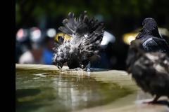 Καιρός: Έρχεται κύμα καύσωνα τις επόμενες ημέρες – Ποιες περιοχές θα «ψηθούν»