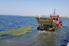 Υπογράφηκε η σύμβαση για τον καθαρισμό του Θερμαϊκού