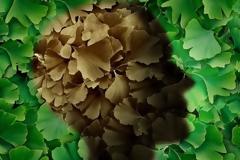 Το απροσδόκητο σύμπτωμα του Αλτσχάιμερ που πρέπει να προσέξεις!