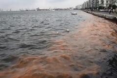 Ξεκινά επιχείρηση καθαρισμού του Θερμαϊκού - Πώς θα διεξαχθεί, πόσο θα διαρκέσει