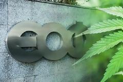 ΕΟΦ: Δεν επιτρέπεται η διαφήμιση και ο...δειγματισμός των προϊόντων φαρμακευτικής κάνναβης