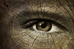 Οι τέσσερις καθημερινές συνήθειες που σε γερνούν 12 χρόνια!