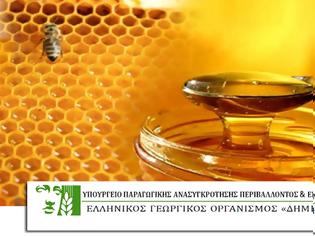 Φωτογραφία για Σεμινάριο Μελισσοκομίας στο ΜΕΣΟΛΟΓΓΙ