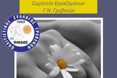 Πίνδος και Νοσοκομείο Γρεβενών:  