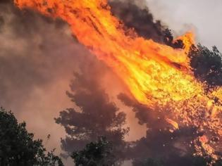 Φωτογραφία για Φωτιά στα Σπάτα - Διάσπαρτες κατοικίες στο σημείο