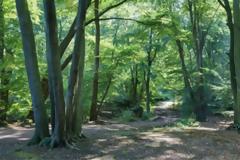 Φυτέψτε ένα τρισεκατομμύριο νέα δέντρα σε όλο τον κόσμο για να «φρενάρουν» την κλιματική αλλαγή