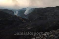 Συνελήφθη 64χρονος για εμπρησμό στην περιοχή Μανίκια Εύβοιας - Εκκενώθηκαν οικισμοί