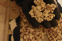 ΣΔΟΕ: Πάνω από $660 εκατ. η αξία των χαπιών Captagon που κατασχέθηκαν