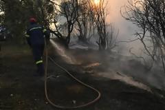 Σε ύφεση η φωτιά στην Εύβοια