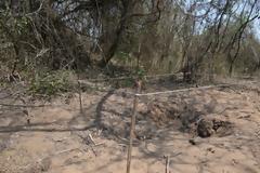 Βρέθηκε μυστικός τάφος με 12 πτώματα, θύματα παραστρατιωτικής ομάδας