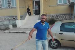 Φίδι αναστάτωσε το εκλογικό τμήμα στον ΑΕΤΟ Ξηρομέρου -ΦΩΤΟ