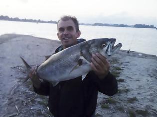 Φωτογραφία για Έπιασε ψάρι (Γοφάρι) 10 κιλών στο ΑΚΤΙΟ Βόνιτσας -ΦΩΤΟ
