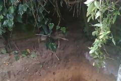 ΚΑΤΑΣΚΕΥΕΣ - Είναι απίστευτο το τι έφτιαξε αυτός ο άνδρας στην αυλή του! Δεν έχει τίποτα να ζηλέψει