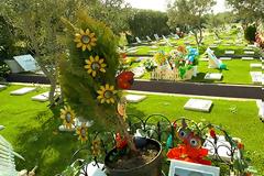 Cats n’ Dogs: Ξενοδοχείο, Κοιμητήριο και Αποτεφρωτήριο μικρών ζώων στο Κορωπί