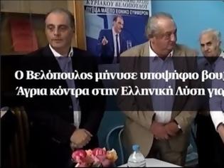 Φωτογραφία για Άγρια κόντρα στην Ελληνική Λύση για μια έδρα - ﻿﻿Ο Βελόπουλος μήνυσε υποψήφιο βουλευτή του!