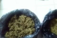 Σταμνά: Εντοπίστηκαν ακόμη 13 κιλά κάνναβης για την υπόθεση σύλληψης έξι διακινητών ναρκωτικών (ΔΕΙΤΕ ΦΩΤΟ)