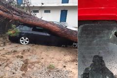 Καταστροφές στο ΚΑΑΥ Νέας Μάκρης από το φονικό μπουρίνι