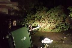 Χαλκιδική: Σοκαριστική μαρτυρία για το θάνατο μάνας και γιου – video