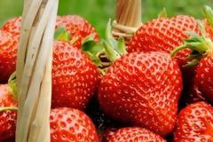 Αυτές είναι οι 5 τροφές που κάνουν τα δόντια πιο λευκά