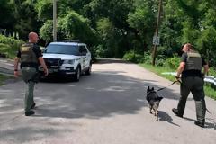 Η αστυνομία βρήκε καταζητούμενο όταν αερίστηκε δυνατά και αποκαλύφθηκε η κρυψώνα του!