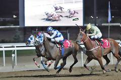 Markopoulo Park: Συναρπαστικό θέαμα και διασκέδαση για όλη την οικογένεια