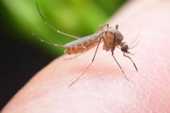 Ιός του Δυτικού Νείλου: Δύο κρούσματα