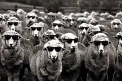 Η ψυχολογία της μάζας και ο λόγος που μας επηρεάζουν οι άλλοι