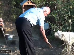 Φωτογραφία για Συγκίνησε το Πανελλήνιο ο σκύλος που μένει 18 μήνες εκεί που σκοτώθηκε το αφεντικό του (Video)