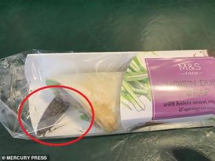 Φωτογραφία για Βρήκε μέσα στο συσκευασμένο σάντουιτς που είχε αγοράσει έναν τεράστιο ζωντανό σκόρο (Video)