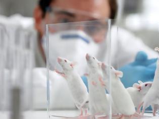 Φωτογραφία για Επιστήμονες καταφέρνουν να θεραπεύσουν εννέα ποντίκια από HIV