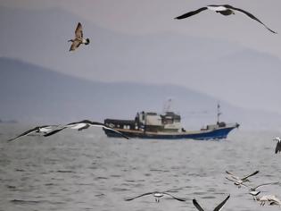 Φωτογραφία για Ρωσικό αλιευτικό κρατείται από τις αρχές της Βόρειας Κορέας