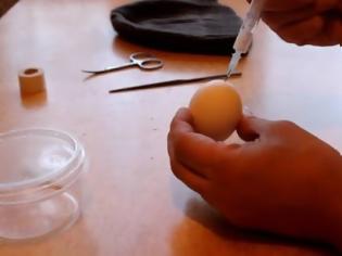 Φωτογραφία για Ρώσος βάζει το σπέρμα του σε αβγό – Το αποτέλεσμα ανατριχιάζει (ΒΙΝΤΕΟ)!