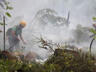 Φωτογραφία για Τεράστια οικολογική καταστροφή στη Σιβηρία. Καίγονται 30 εκατομμύρια στρέμματα