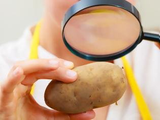 Φωτογραφία για Γνωρίστε τη διατροφική αξία της πατάτας
