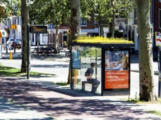Φωτογραφία για «Φιλόξενες» για τις μέλισσες οι στάσεις λεωφορείων στην Ολλανδία