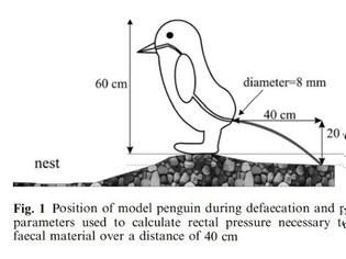 Φωτογραφία για Η επιστημονική αφόδευση των πιγκουίνων