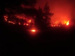Φωτογραφία για Εύβοια: Εκκένωση του χωριού Μακρυμάλλη ζητεί η Πυροσβεστική