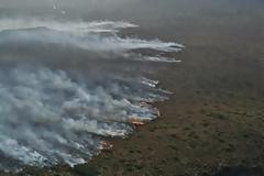 Ορμητικά προς τη θάλασσα κινείται η φωτιά στον Πρόδρομο Βοιωτίας - Πιθανή η εκκένωση παραλιών