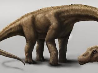 Φωτογραφία για Το μεγαλύτερο ζώο που περπάτησε ποτέ στη Γη. Dreadnoughtus» («Ατρόμητος»)