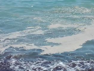 Φωτογραφία για Οι αφροί στην θάλασσα δείχνουν ότι είναι βρόμικη;
