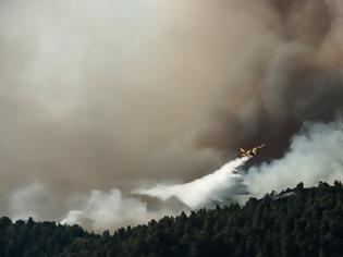 Φωτογραφία για Αστεροσκοπείο: Εφικτή η πρόγνωση εξάπλωσης δασικών πυρκαγιών