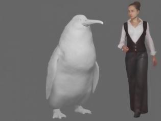 Φωτογραφία για Ανακαλύφθηκε νέο είδος προϊστορικού πιγκουίνου με μέγεθος... ανθρώπου
