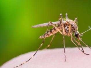 Φωτογραφία για Οι δέκα λόγοι που τα κουνούπια επιλέγουν εσένα αντί των άλλων