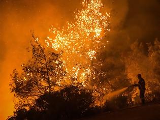 Φωτογραφία για Έβαλαν 8.270 φωτιές μέσα στο 2019 - Έλληνας, άνω των 45 και παντρεμένος με παιδιά ο εμπρηστής