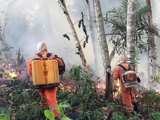 Φωτογραφία για Πυρκαγιές στον Αμαζόνιο: Ο Μπολσονάρου σκέφτεται να στείλει τον στρατό