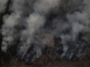 Φωτογραφία για Πυρκαγιές στον Αμαζόνιο: Οικολογική «βόμβα» - Στοιχεία που σοκάρουν