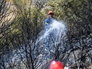 Φωτογραφία για Μαραθώνας: Σε ύφεση η φωτιά σε δασική έκταση κοντά στο ελικοδρόμιο