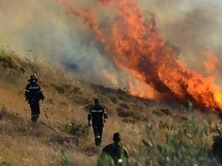 Φωτογραφία για Μάχη με τις φλόγες σε Θεσπρωτία, Κέρκυρα, Καβάλα