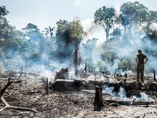 Φωτογραφία για Η Apple δεσμεύεται να δωρίσει ένα ποσό για τις πυρκαγιές στον Αμαζόνιο