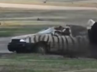 Φωτογραφία για Ρινόκερος τρελάθηκε και διέλυσε ένα αυτοκίνητο σε πάρκο της Γερμανίας